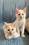 Jordi und Jake (2)